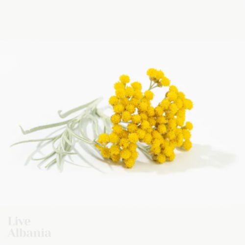 Divoká Slaměnka (Helichrysum italicum) - 100% hydrolát z Kosova - Objem: 200 ml