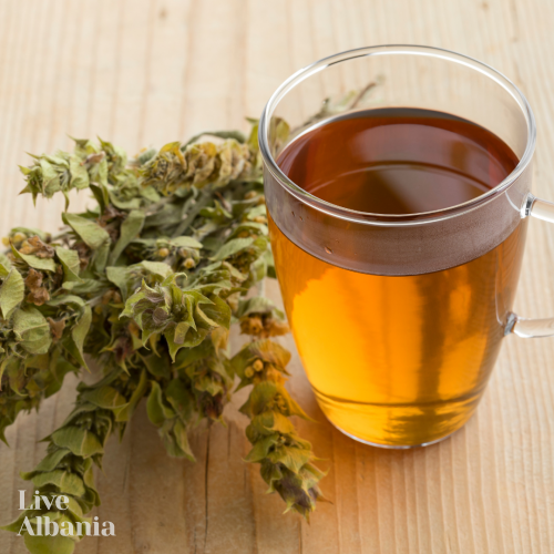 Mountain tea (Sideritis scardica)