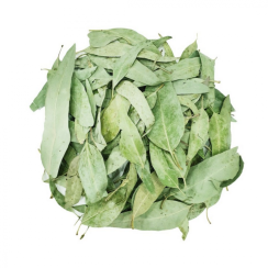 Eucalyptus - dried whole leaf