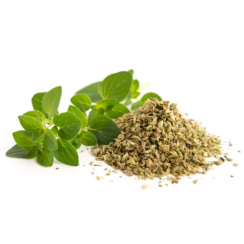 Divoké oregano (Origanum vulgare) - sušený