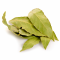 Čistě přírodní bobkový list / vavřín (Laurus nobilis)| LiveAlbania
