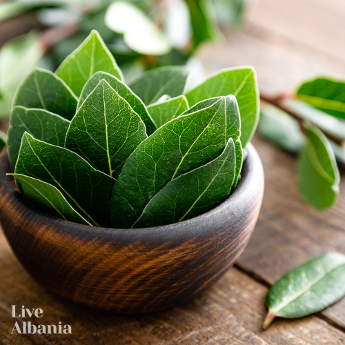 Purely natural bay leaf / laurel (Laurus nobilis)