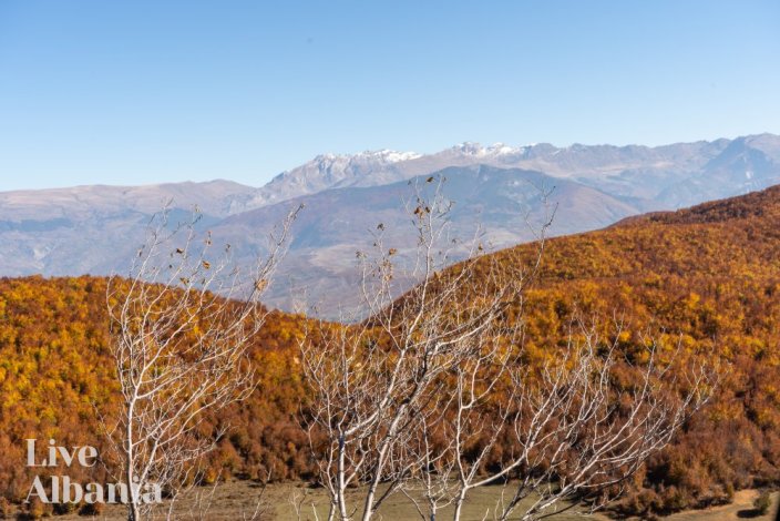 Enjoy your vacation in the real Albania | LiveAlbania