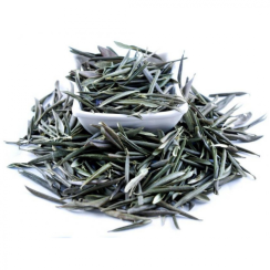 Organic Olive Leaf (Olea europaea) Tea - Dried, Whole