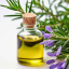 Divoký Rozmarýn lékařský (Rosmarinus officinalis) - 100% esenciální olej z Kosova