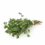 Divoký tymián (Thymus vulgaris) - sušený