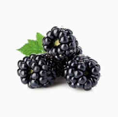 Ostružinový džem (300g)