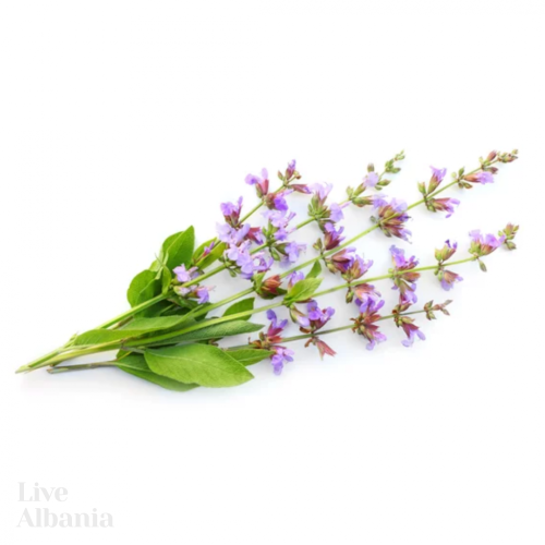 Divoká Šalvěj lékařská (Salvia officinalis) - 100% esenciální olej - Objem: 10 ml