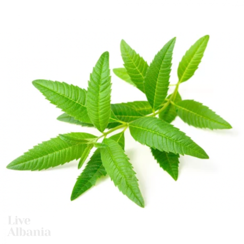 Wild Lemon Verbena (Aloysia citrodora) - dried whole leaves